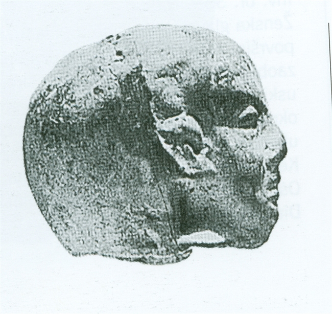 Head from terracotta with features of the Ancient Egyptian statue